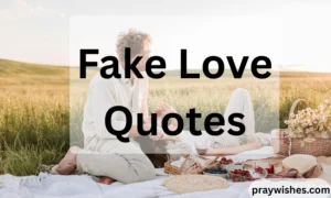 Fake Love Quotes