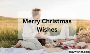 Merry Christmas Wishes